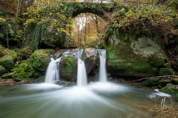 Portfolio foto 21