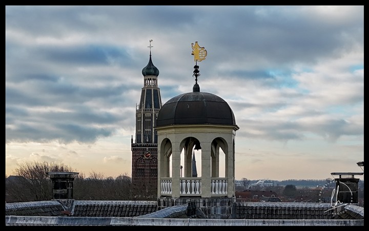 Portfolio foto 10